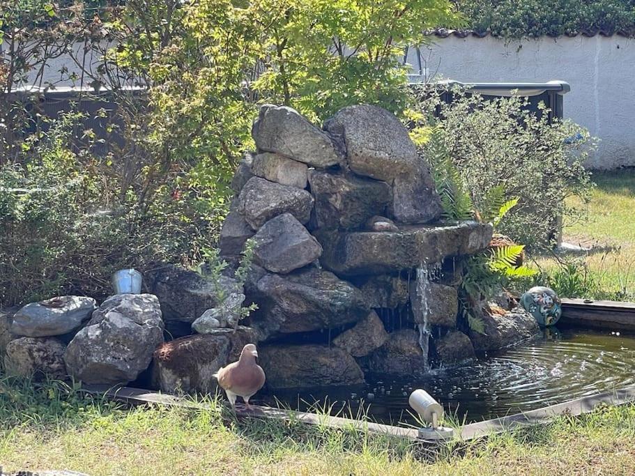 Les Lys De Rosie - Maison Familiale De Plain Pied Campagne Boisset-les-Montrond Luaran gambar